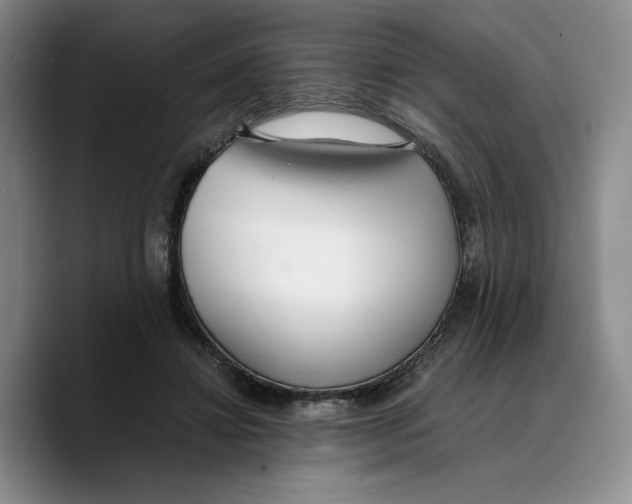 X0000089670452200707201642