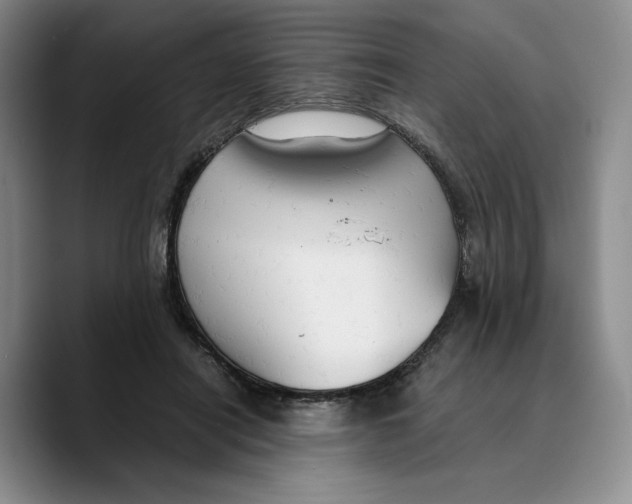 X0000089670454200707201642