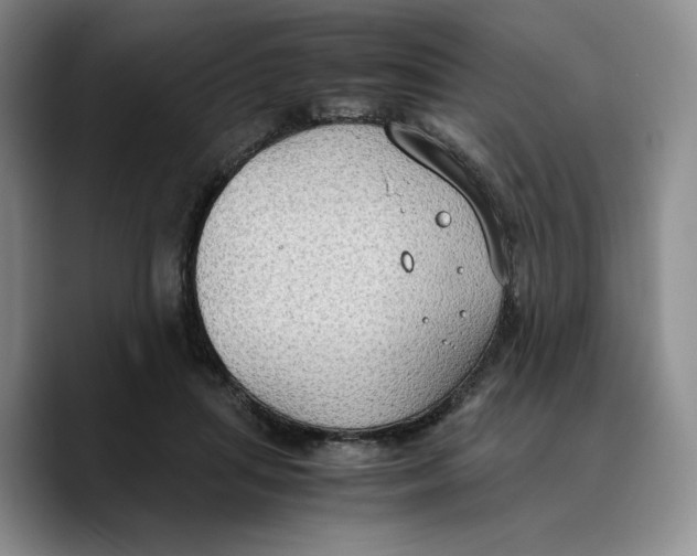 X0000089670455200707201643