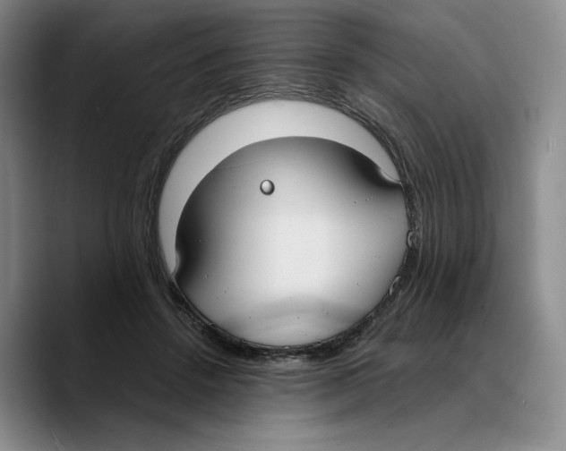 X0000089670456200707201643
