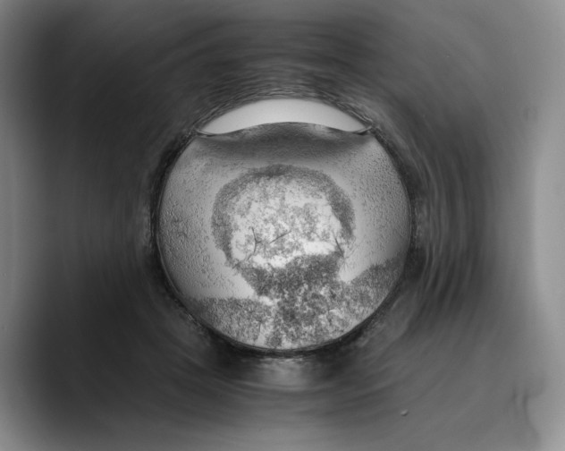 X0000089670457200707201643