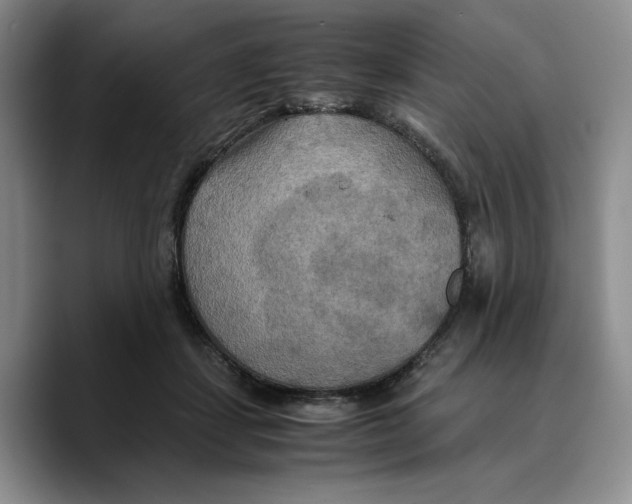 X0000089670459200707201643
