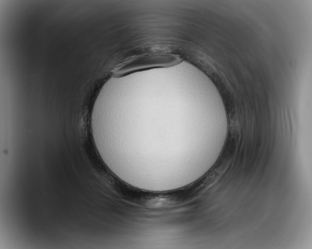 X0000089670460200707201643