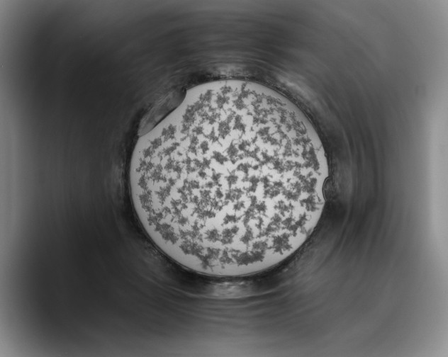 X0000089670461200707201643