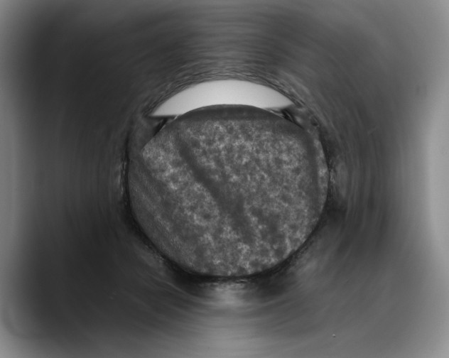 X0000089670462200707201643