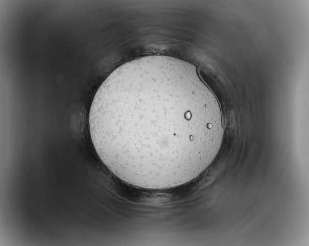 X0000089670463200707201643