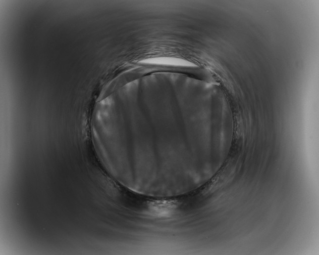 X0000089670465200707201643