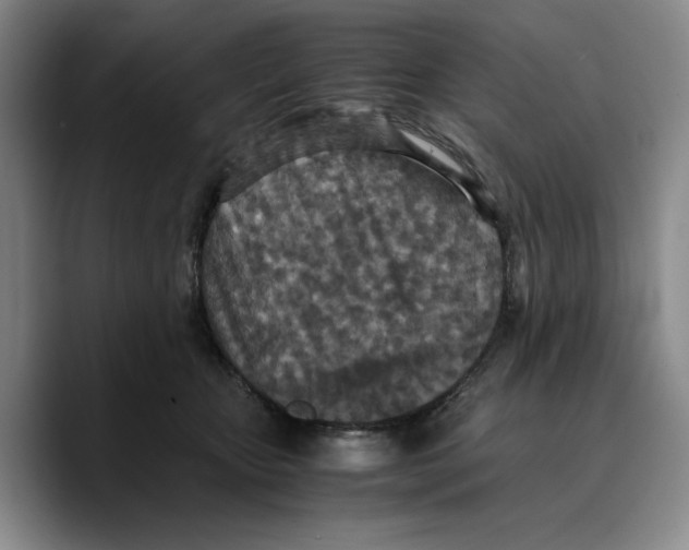 X0000089670467200707201643