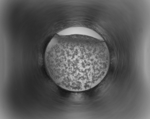 X0000089670469200707201643
