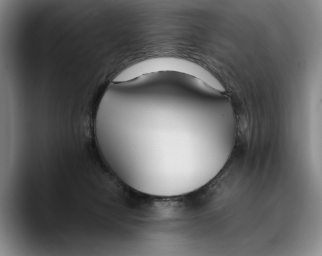 X0000089670470200707201643