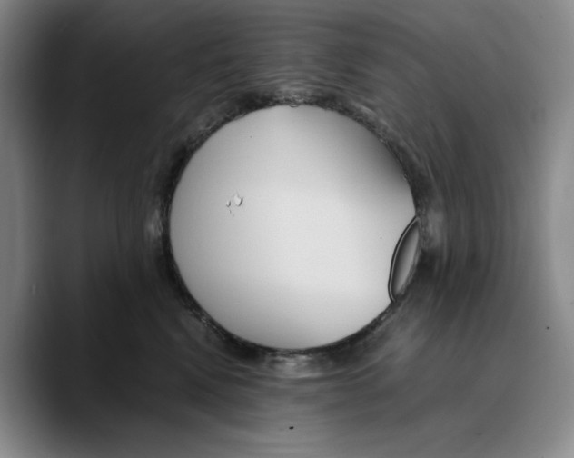 X0000089670472200707201643