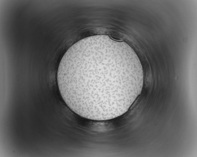 X0000089670473200707201643