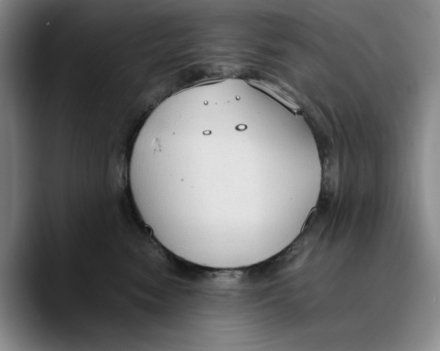 X0000089670474200707201643