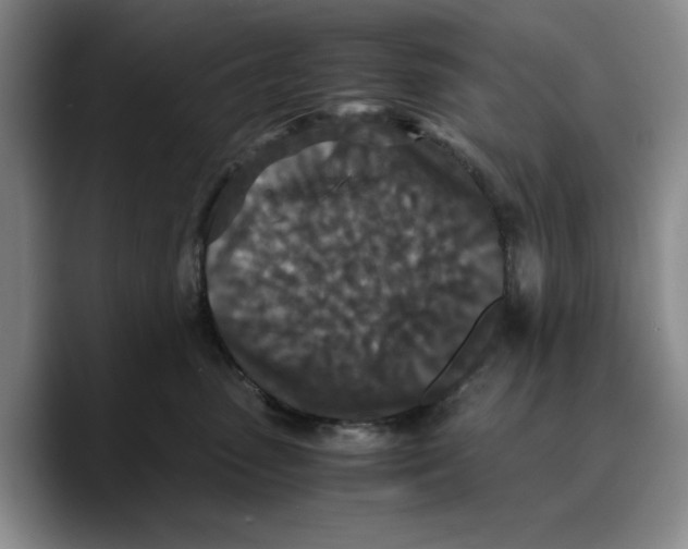 X0000089670475200707201643