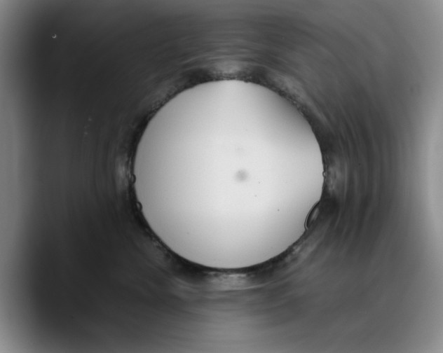 X0000089670476200707201643