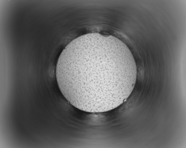 X0000089670477200707201643