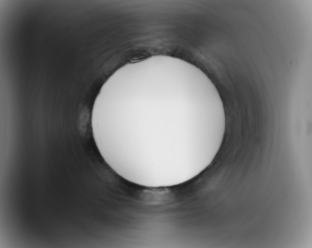 X0000089670480200707201643