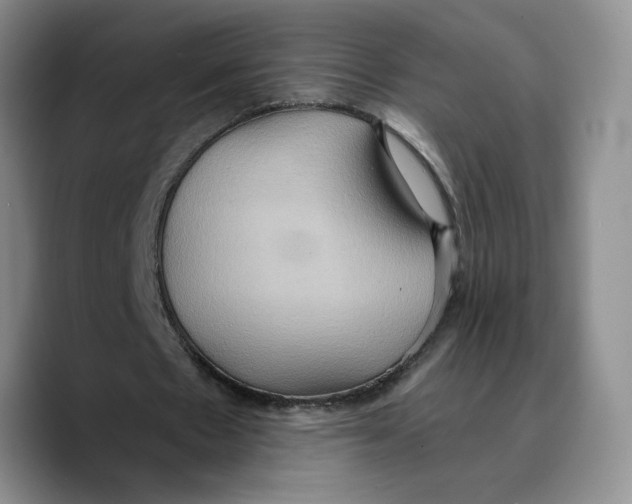 X0000089670481200707201642