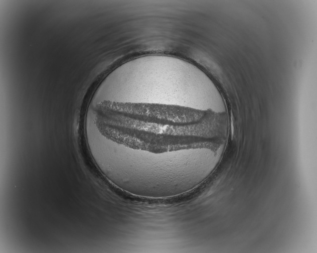 X0000089670483200707201642