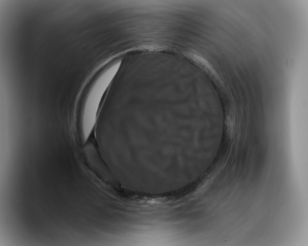 X0000089670484200707201642