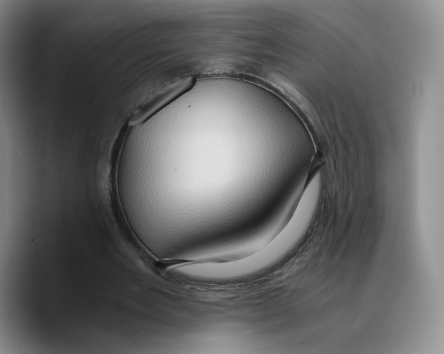 X0000089670485200707201642