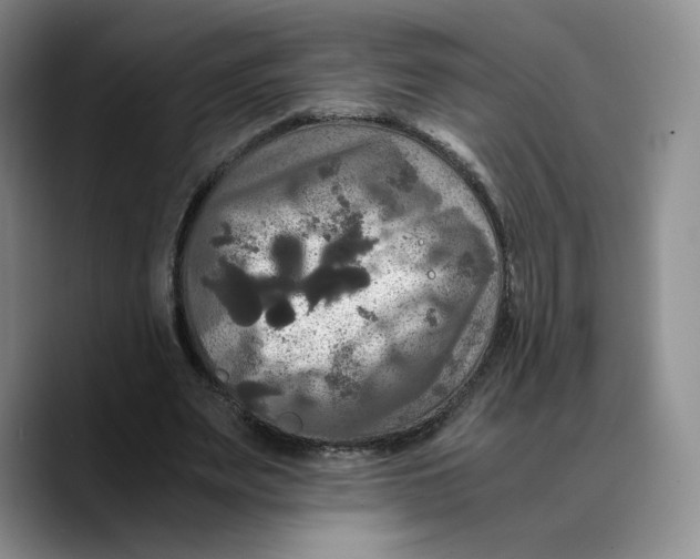 X0000089670487200707201642