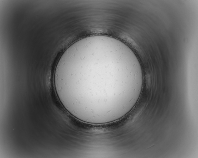 X0000089670490200707201642