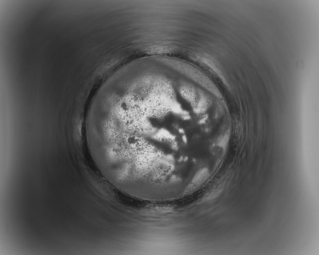 X0000089670491200707201642