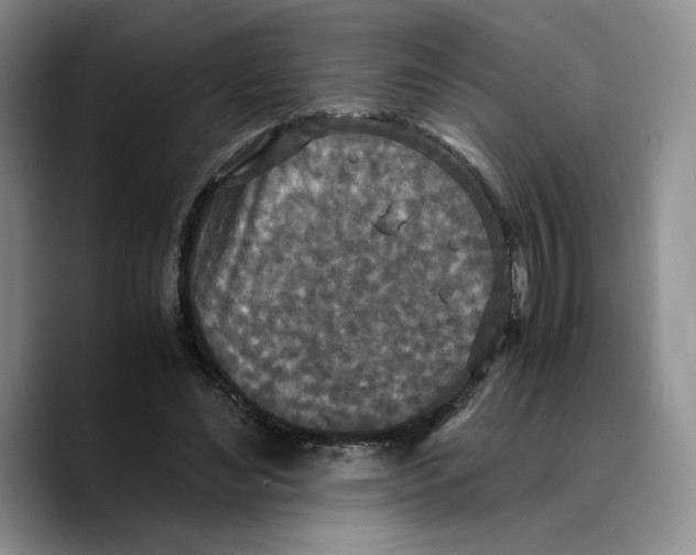 X0000089670492200707201642