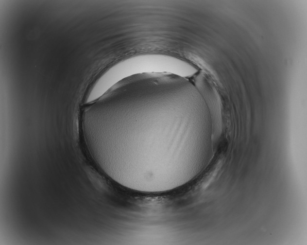 X0000089670493200707201642