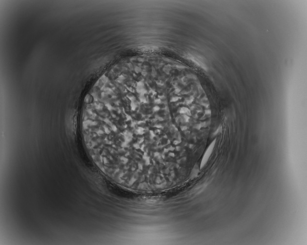 X0000089670495200707201642