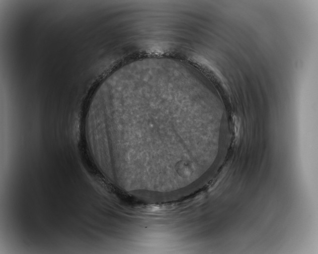 X0000089670496200707201642