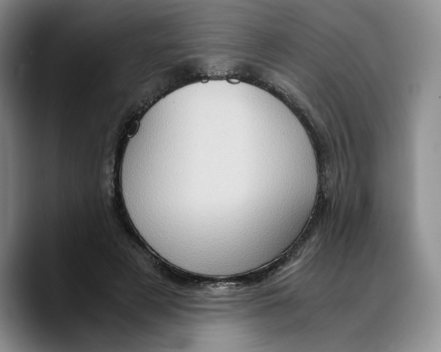 X0000089670497200707201642