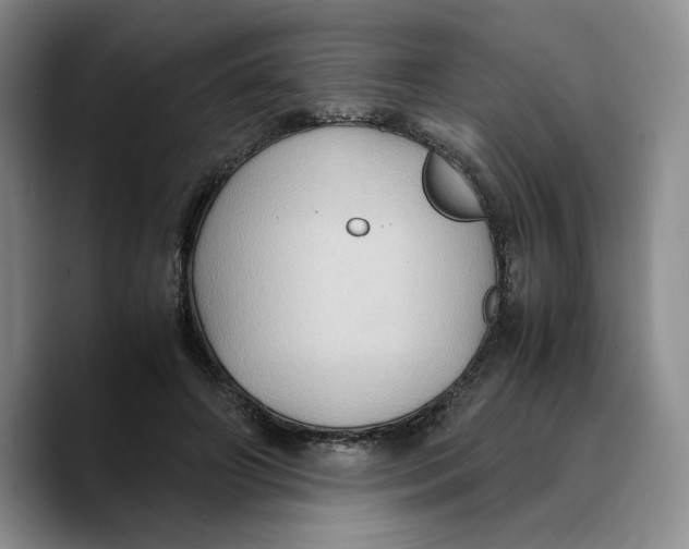 X0000089670498200707201642