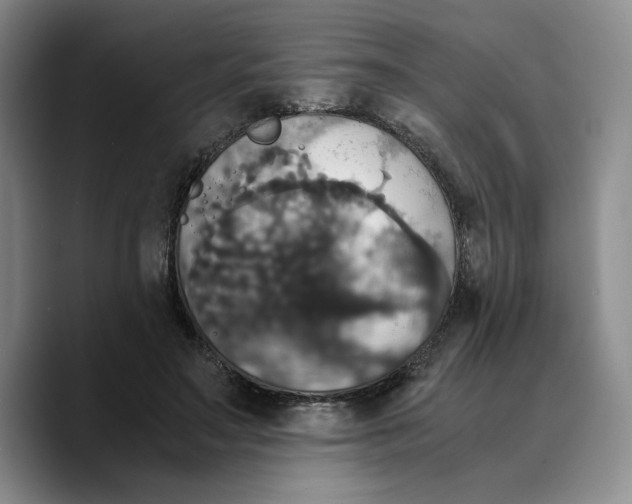 X0000089670499200707201642