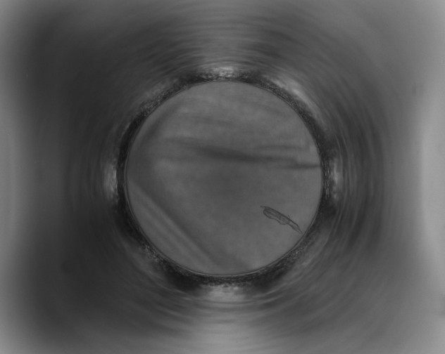 X0000089670500200707201642