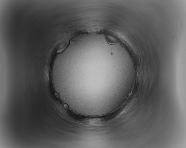 X0000089670501200707201642