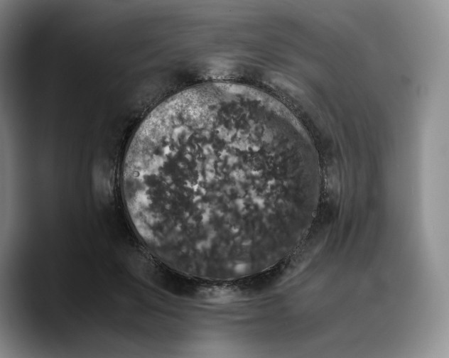 X0000089670503200707201642