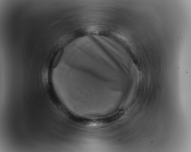 X0000089670504200707201642