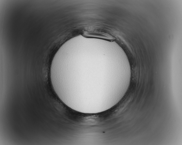 X0000089670505200707201642
