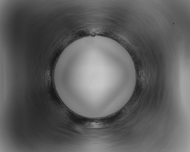 X0000089670506200707201642