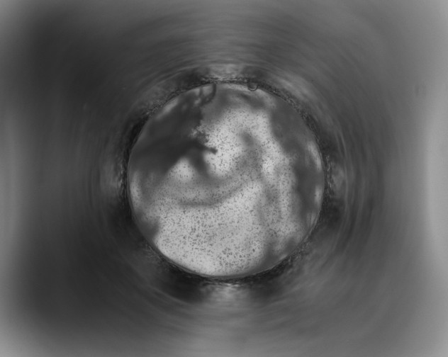 X0000089670507200707201642