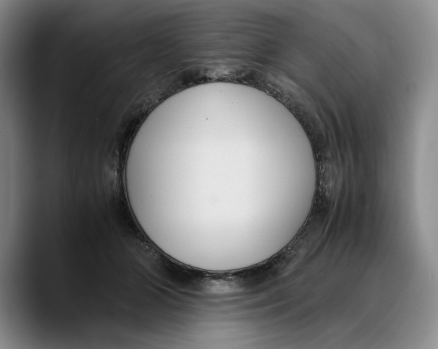X0000089670510200707201642