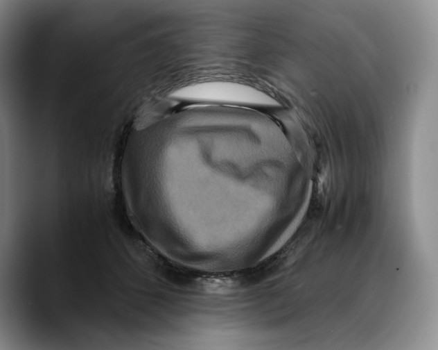 X0000089670512200707201642