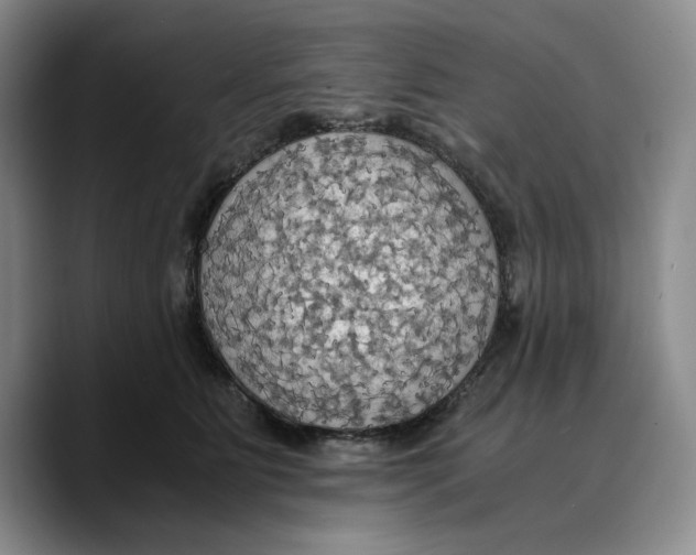X0000089670515200707201642