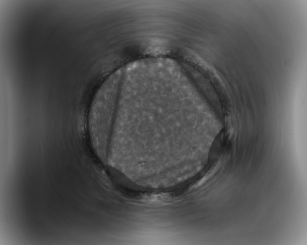 X0000089670517200707201642