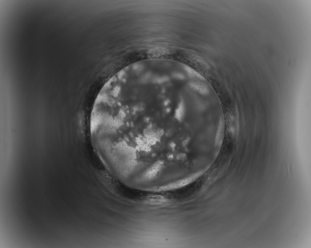 X0000089670519200707201642