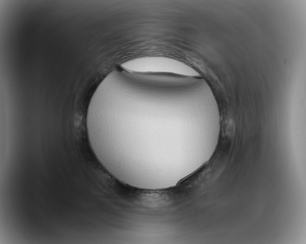 X0000089670521200707201642