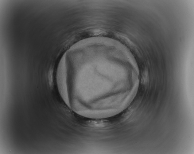 X0000089670524200707201642