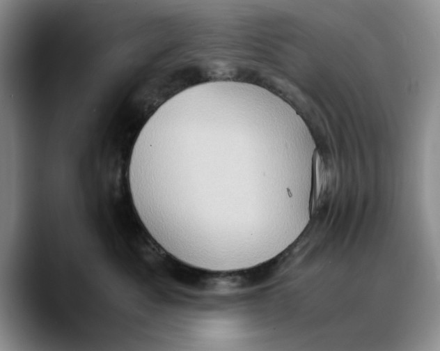 X0000089670525200707201642